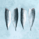 mackerel fillets