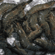 Black Tiger Shrimps