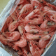 water shrimp