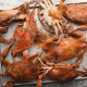 Cooked Crabs for sale