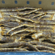Crab Legs for sale
