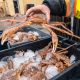 Live King Crab vs Frozen King Crab