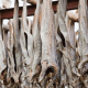 cheap Stockfish Cod for sale