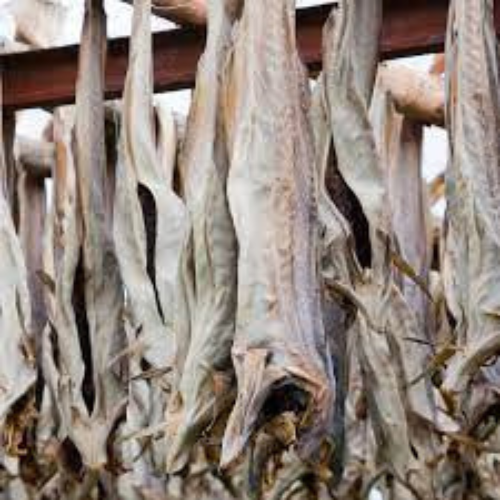 Stockfish Cod  Aschums Seafood AB