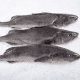 Whole fresh cod for sale