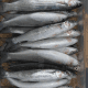 Whole Fresh Haddock supplier