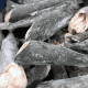 Frozen Atlantic Cod for sale