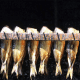 Whole Smoked Haddock for sale