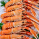 Langoustines