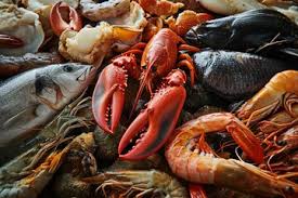 Premium & Exotic Seafood