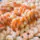 fresh shrimp wholesaler