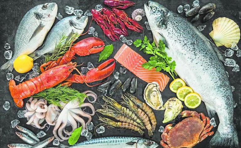 Fresh Frozen Seafood Wholesale
