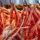 King crab wholesale supplier