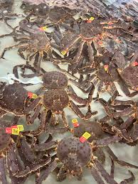 live king crab recipes.