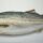 haddock export supplier