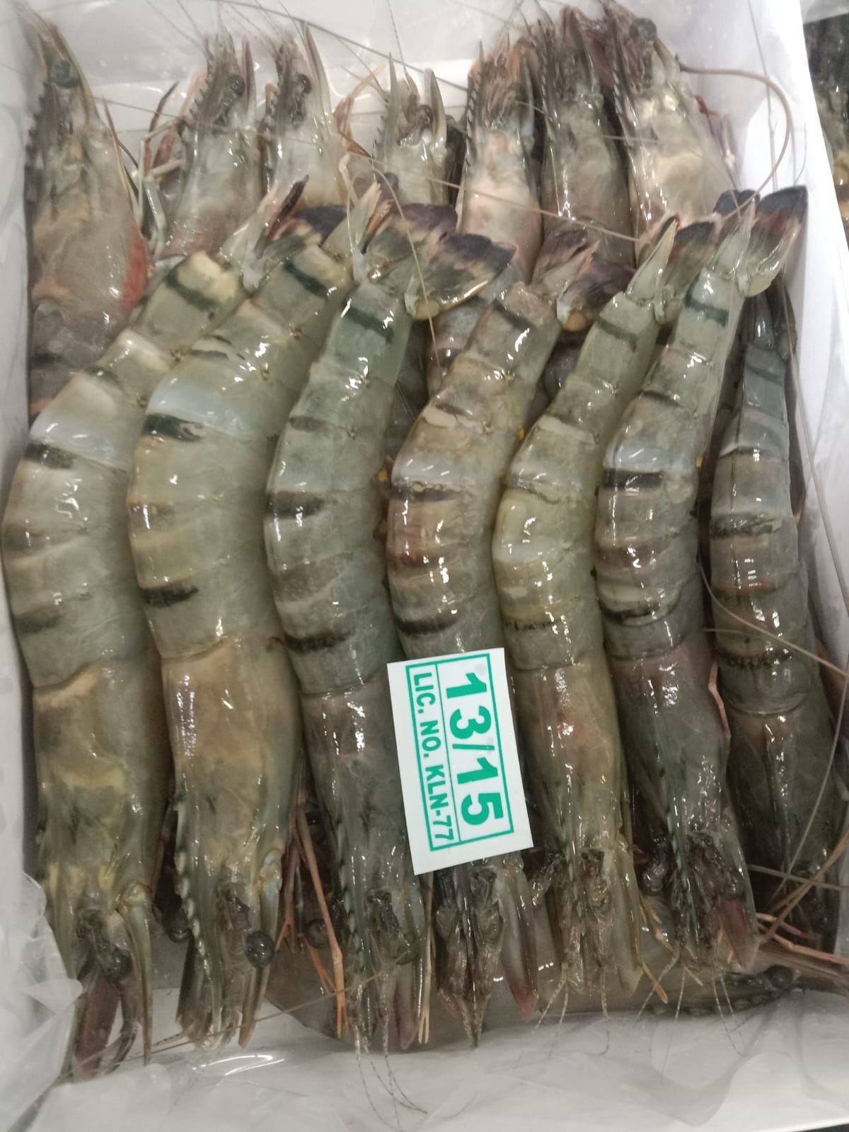 langoustine wholesale norway
