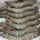 bulk shrimp supplier
