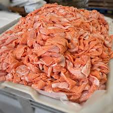 salmon bellies wholesale