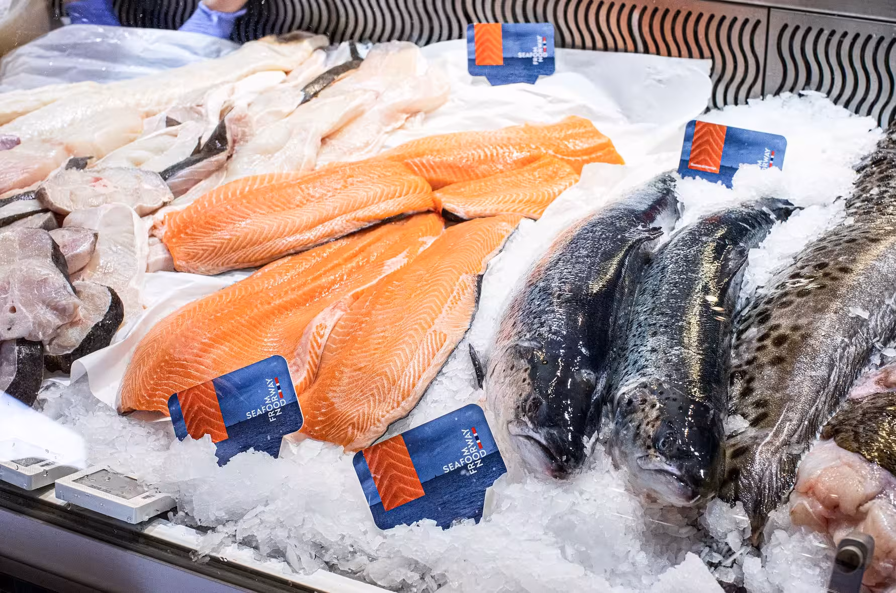 Cheap Frozen Mackerel Fillet Supplier