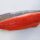 Norwegian salmon suppliers