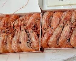 Shrimp and prawns